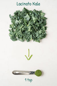 Lacinato Kale