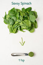 Load image into Gallery viewer, Savoy Spinach
