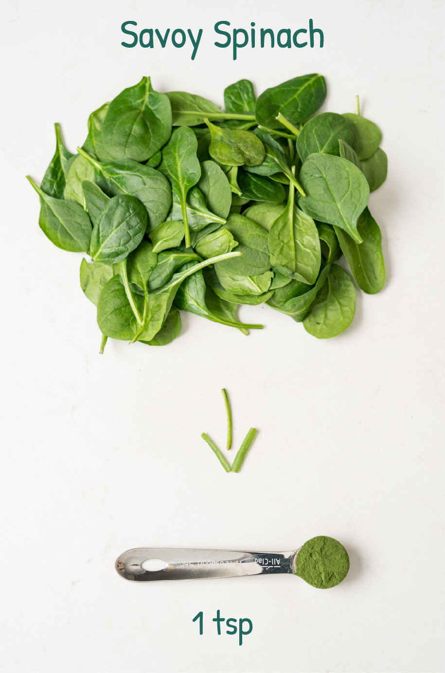 Savoy Spinach